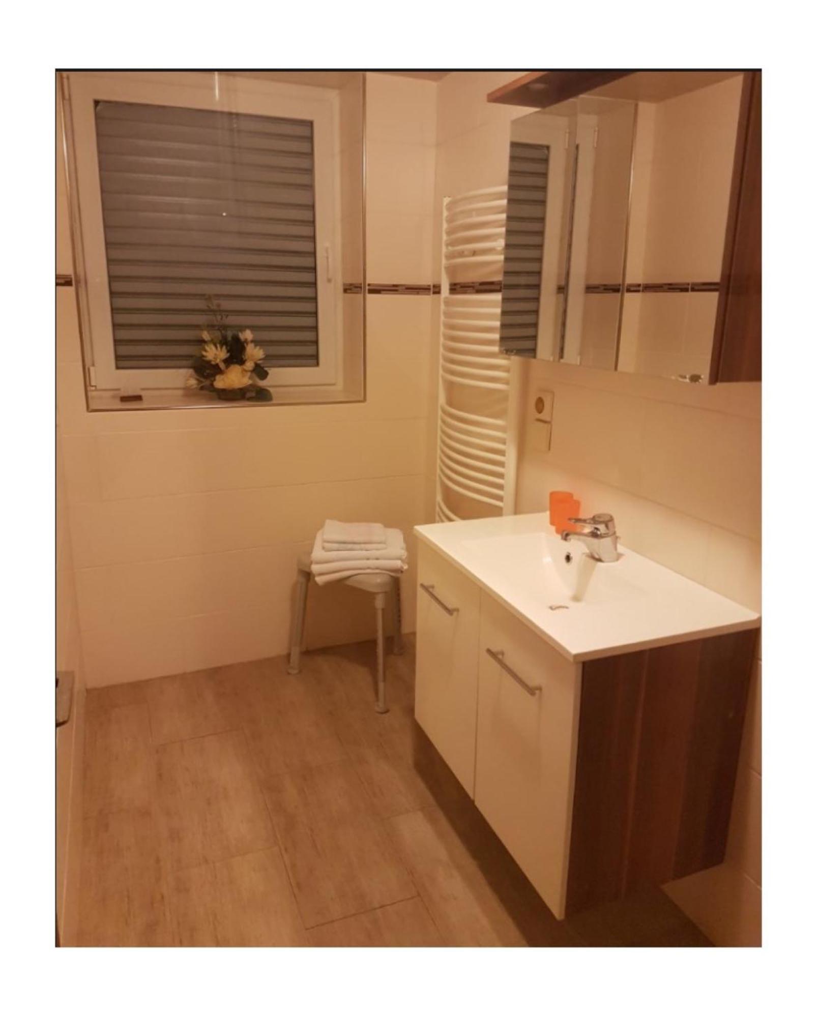 Apartment Haus Irmgard Zell am Harmersbach