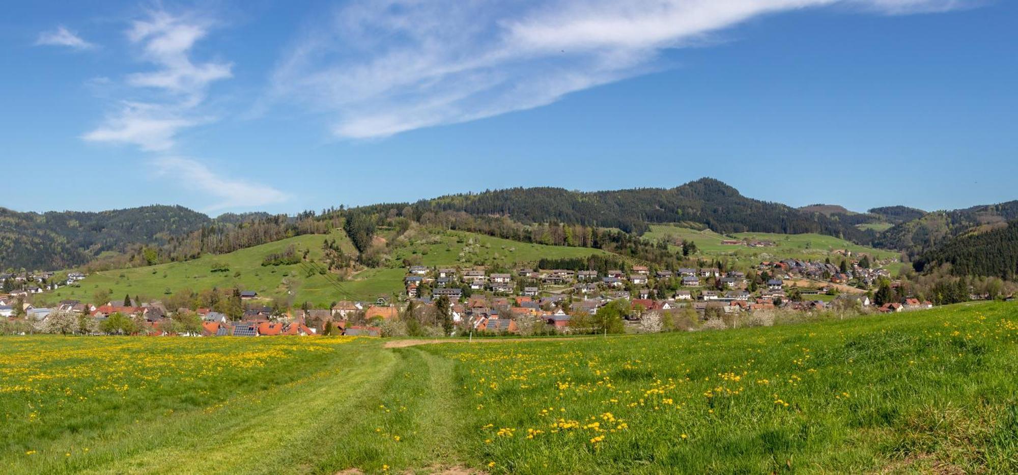 Haus Irmgard Apartment Zell am Harmersbach